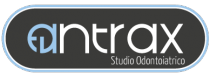 Studio Antrax